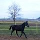 2009, grudzie
