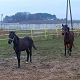 2010, stycze