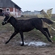 2009, grudzie