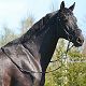Prince Bossier, Rozajny, maj 2013