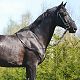 Prince Bossier, Rozajny, maj 2013