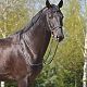 Prince Bossier, Rozajny, maj 2013