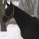 Prince Bossier, Kwidzyn, stycze 2011