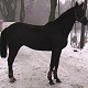 Prince Bossier, Kwidzyn, stycze 2011